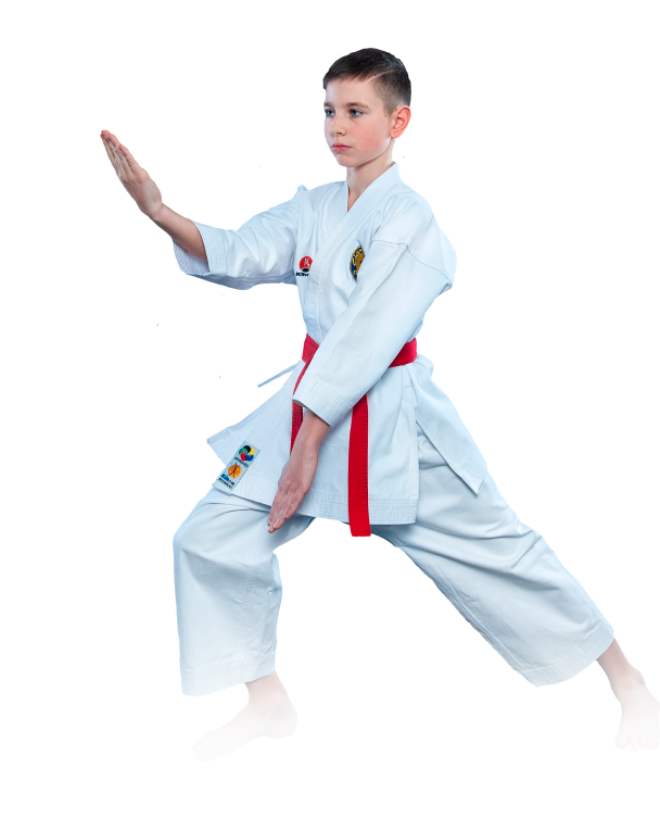 karate
